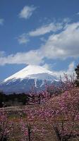 久しぶりの富士山
